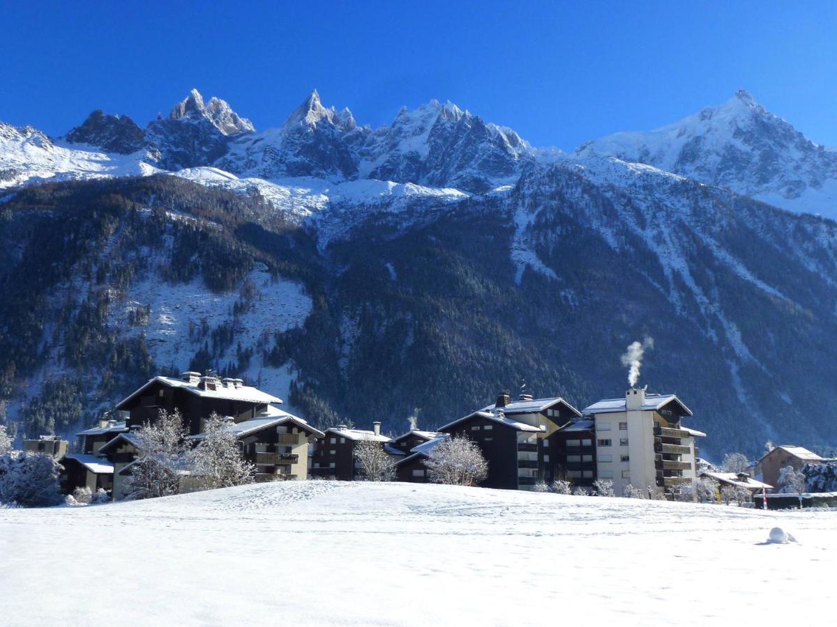 Au Pied Des Pistes Avec Superbe Vue Et Parking Prive - Fr-1-343-217 Apartamento Chamonix